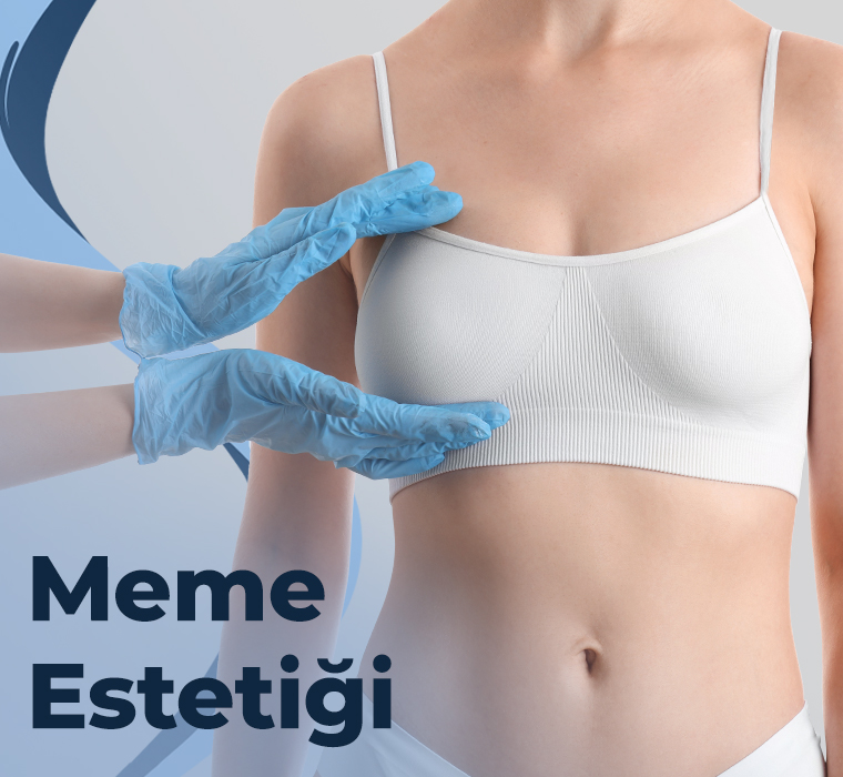 Meme Estetiği